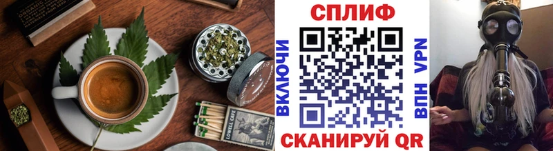 где продают   Гурьевск  Canna-Cookies конопля 