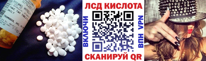 ЛСД экстази ecstasy  hydra как зайти  Гурьевск  где купить  