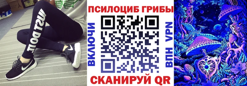 blacksprut tor  Гурьевск  Псилоцибиновые грибы ЛСД 